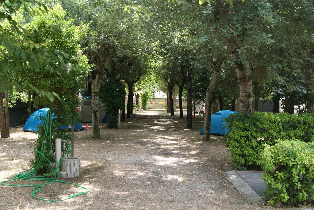 Camping Dolce Sole Марина-ді-Масса Екстер'єр фото