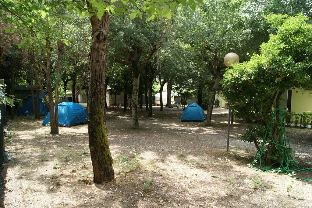Camping Dolce Sole Марина-ді-Масса Номер фото